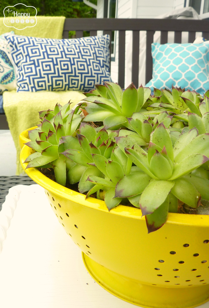 old colander turned succulent planter at thehappyhousie