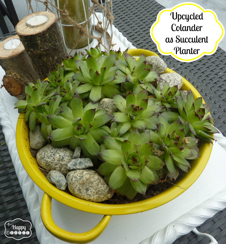 upcycled colander as succulent planter at thehappyhousie