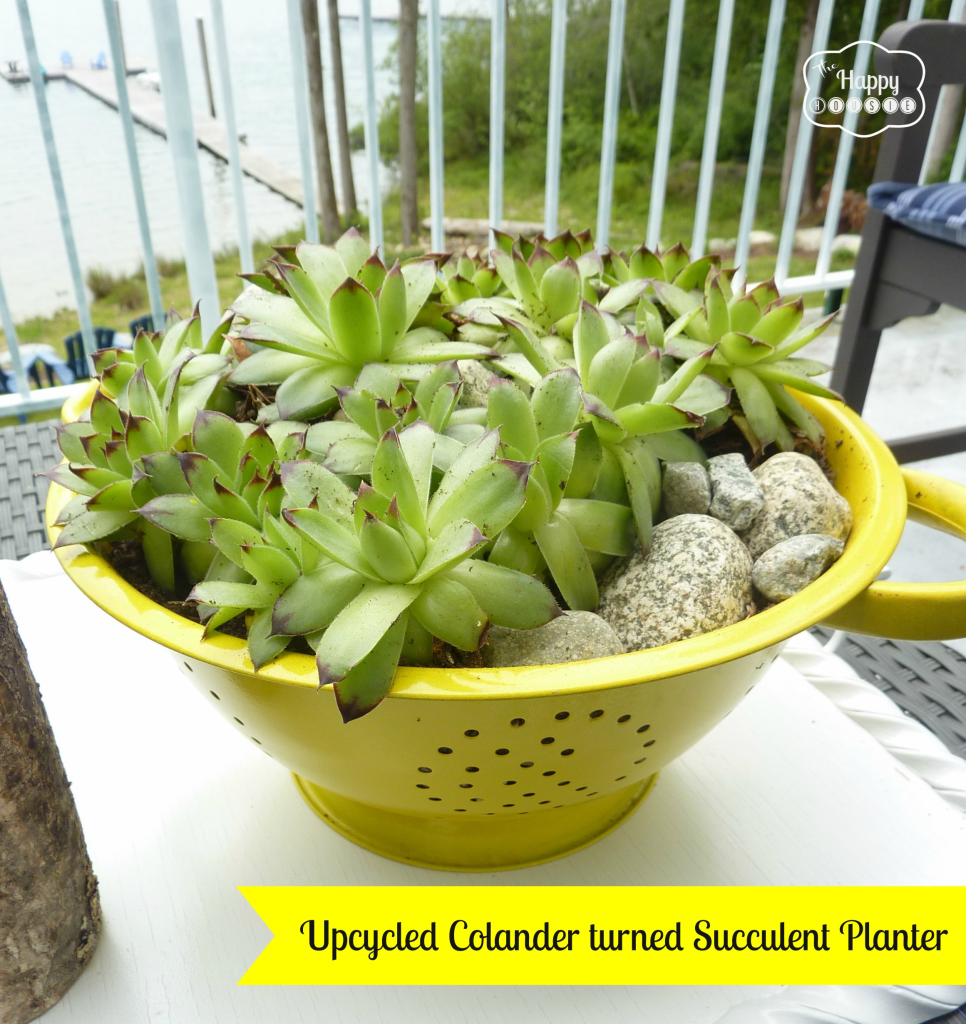 upcycled colander turned succulent planter at thehappyhousie