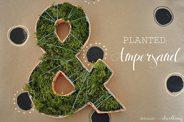 1 Planted Ampersand