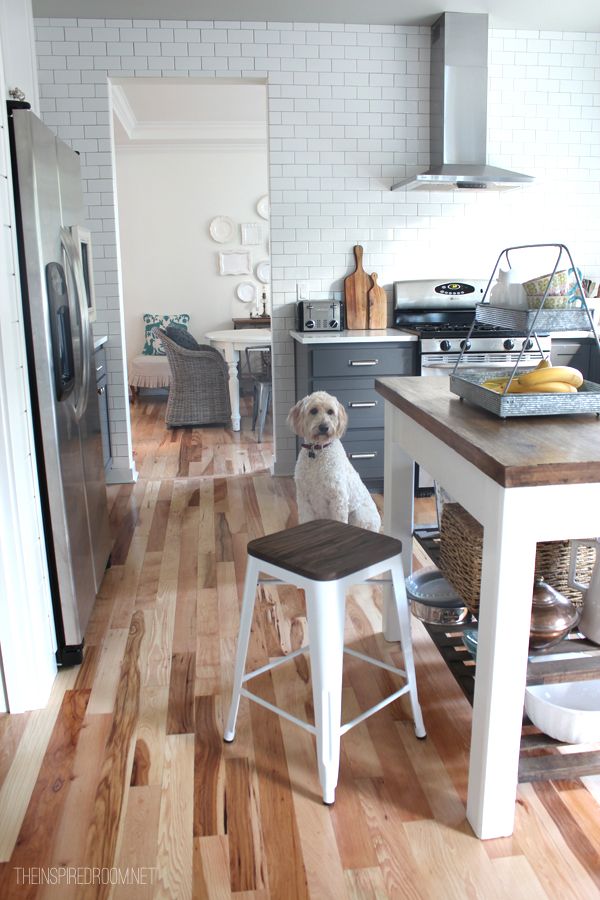 A neutral kitchen with grey and white and large white dog in the kitchen.