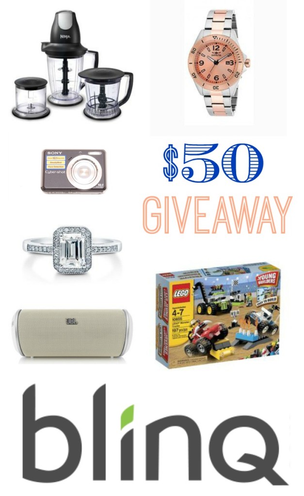 Fifty Dollar Giveaway to blinQ.com at thehappyhousie.com