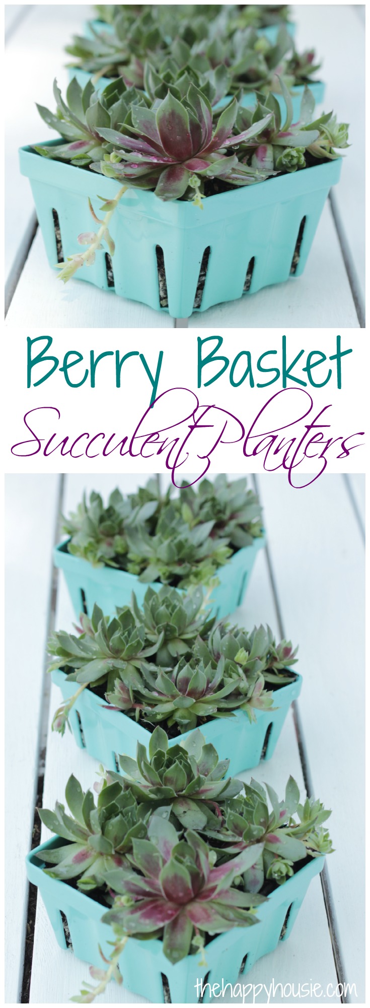 Berry Basket Succulent Planters at thehappyhousie.com