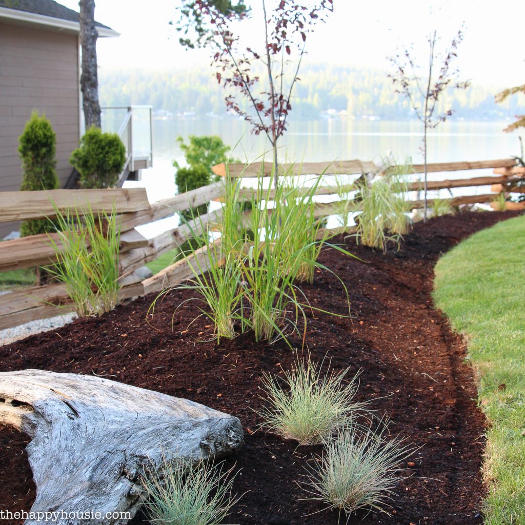 simple landscaping ideas using mulch